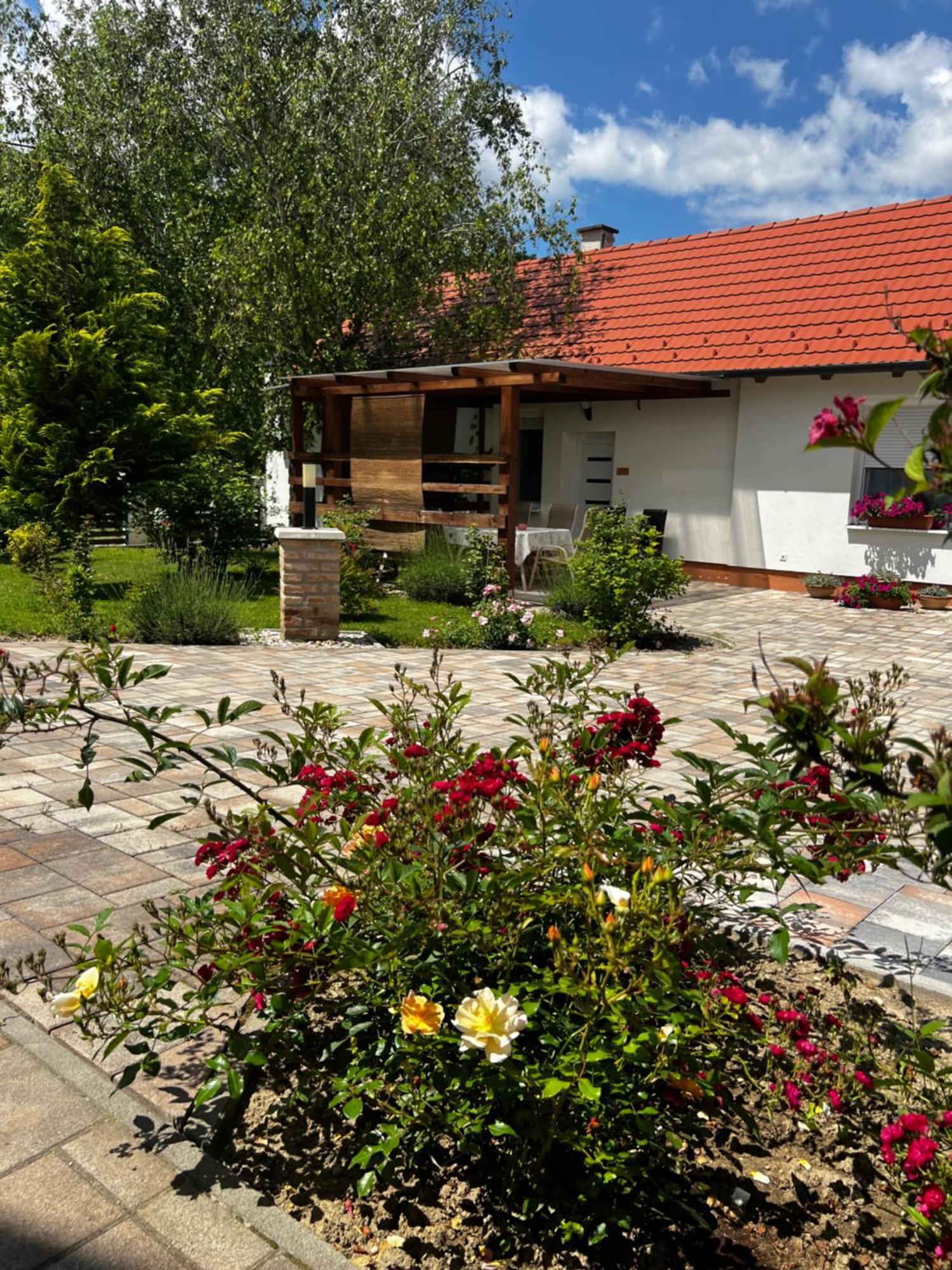 Bed and Breakfast Dreko Panzio & Borbisztro Győrújbarát Esterno foto